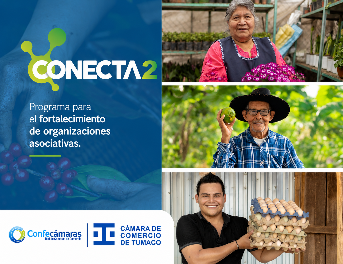 https://www.vue.gov.co/images/default-source/default-album/imagen-conecta2.png?sfvrsn=861277ce_1